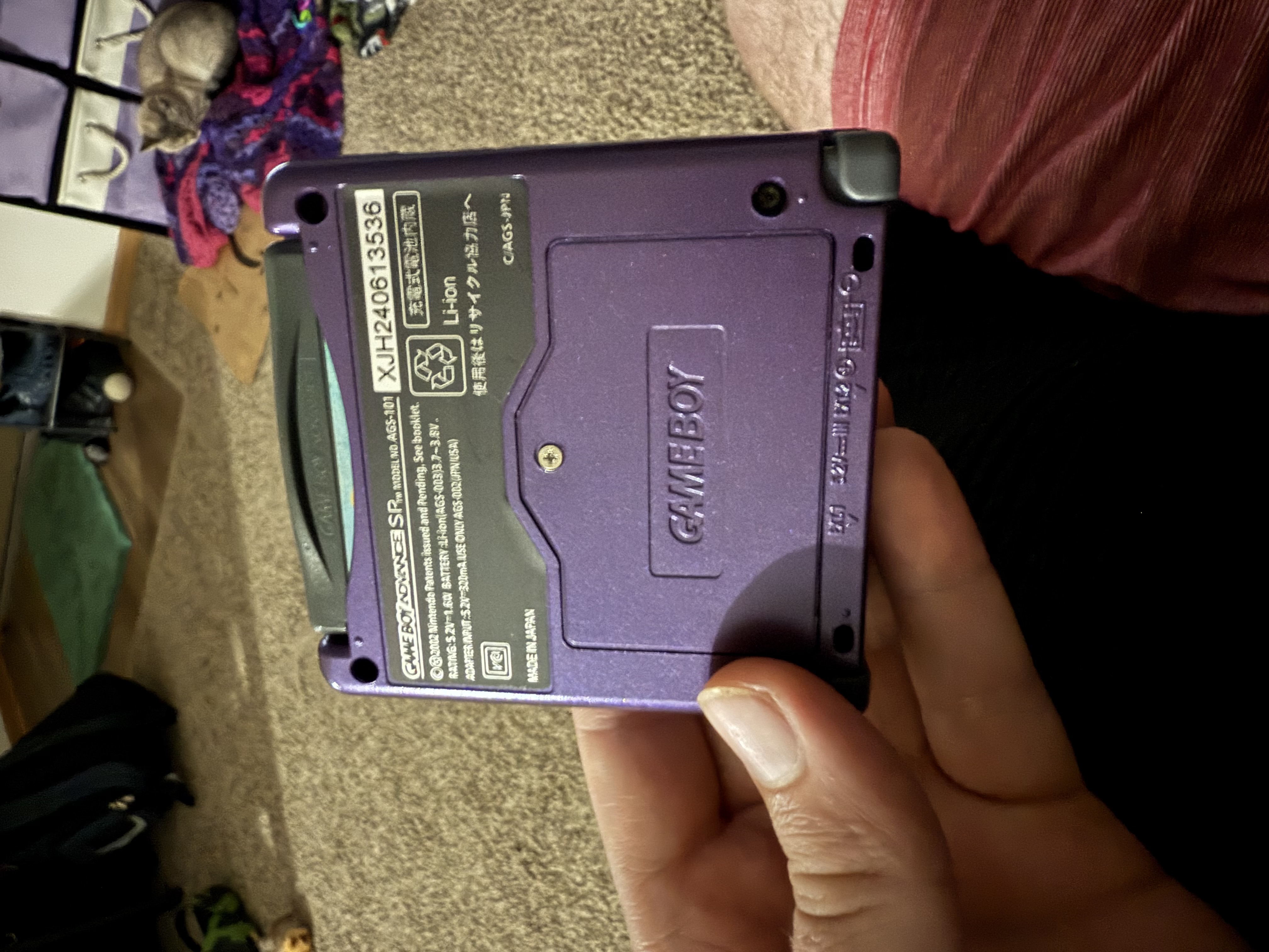 replaced shell